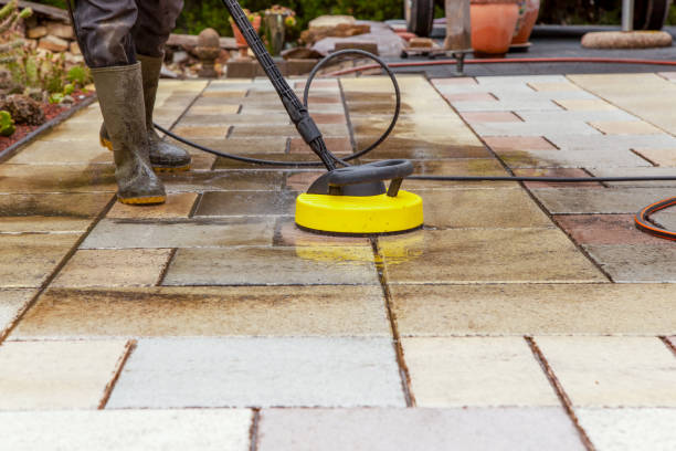Animal Enclosure Cleaning in Elkins Park, PA