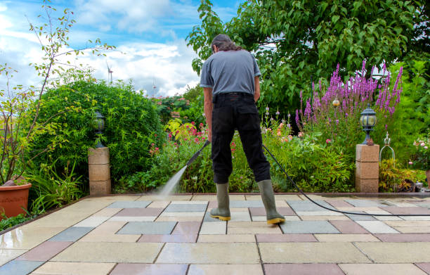 Trusted Elkins Park, PA  Pressure Washing Services Experts